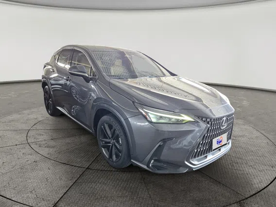 لكزس NX 350 AA Elegant	 2024 