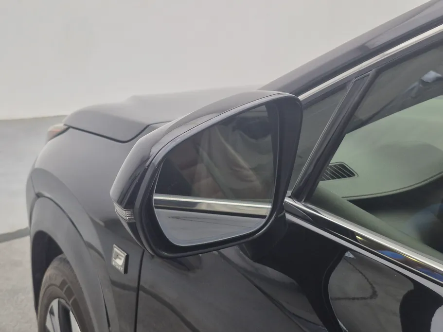 لكزس NX 300 FF Sport 2019 