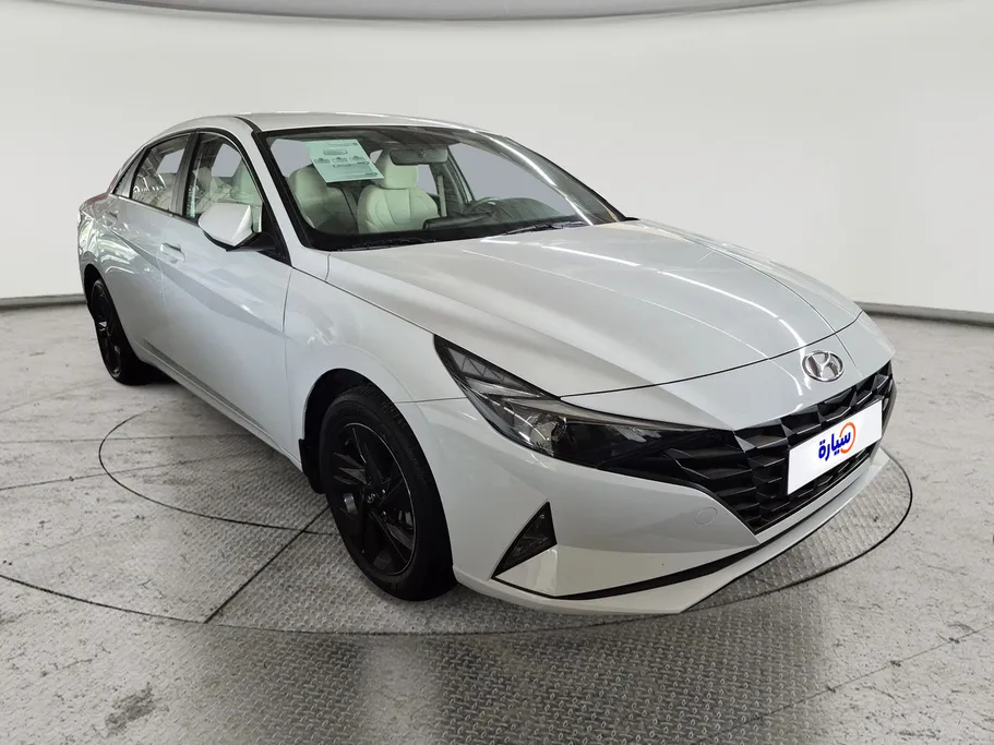 2021 Hyundai Elantra Fleet 