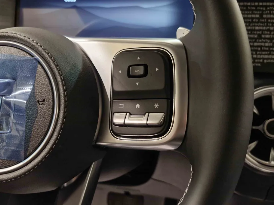 2025 Great Wall Tank 300 Conqueror 