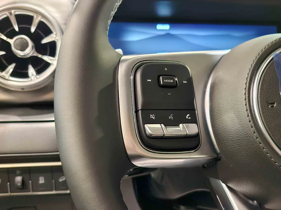 2025 Great Wall Tank 300 Conqueror 