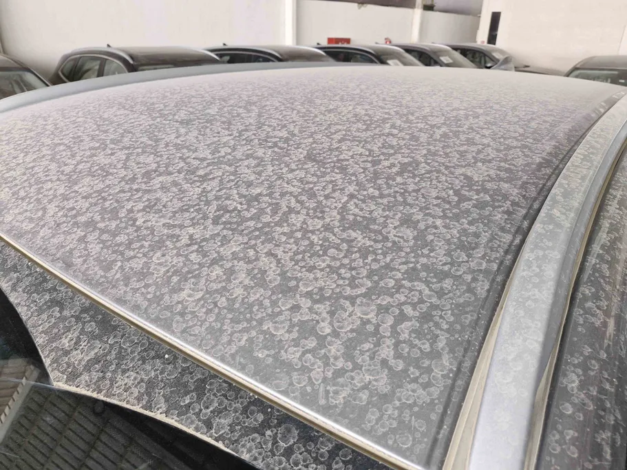 هافال H6 بيسك 2025 