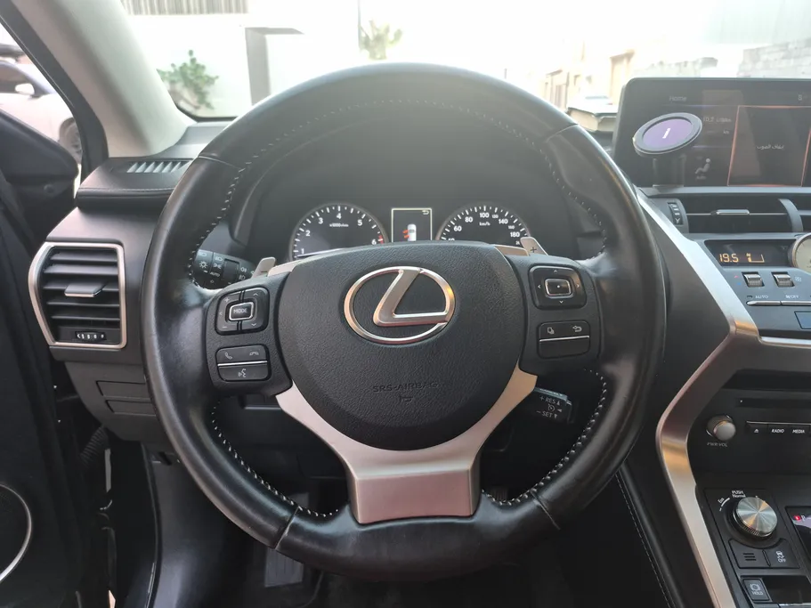 2020 Lexus NX 300 