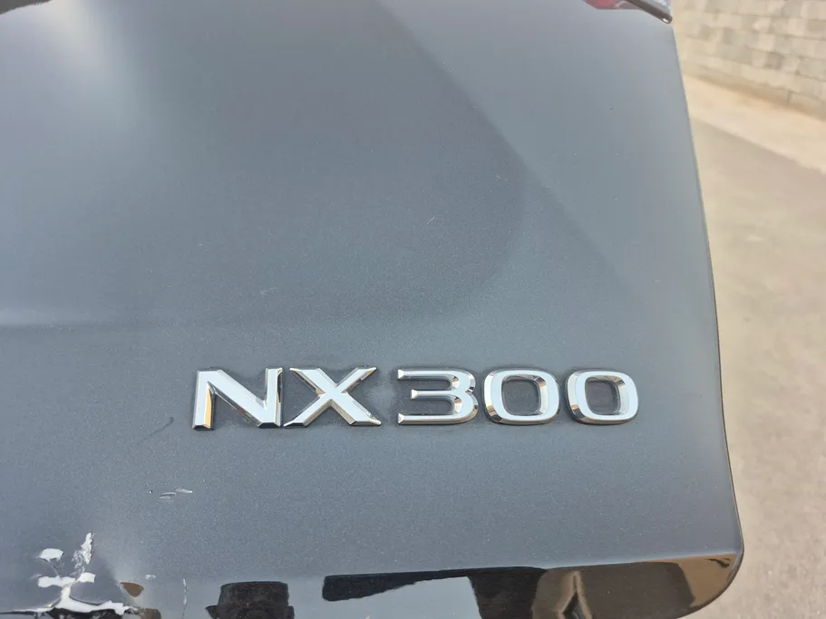 2020 Lexus NX 300 