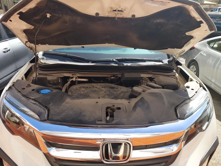 هوندا بايلوت EX L 2021 