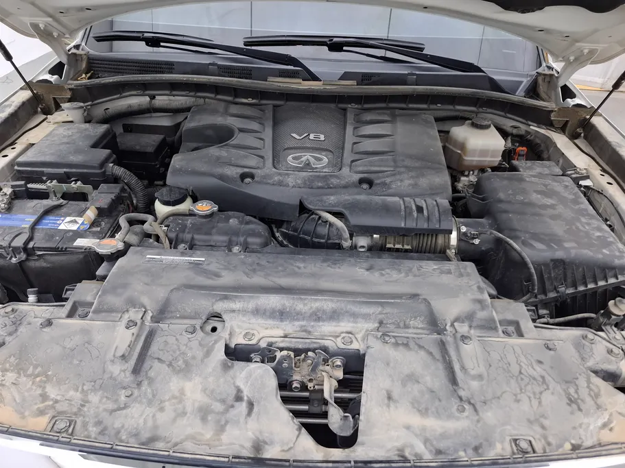 2019 Infiniti QX 80 Luxury 