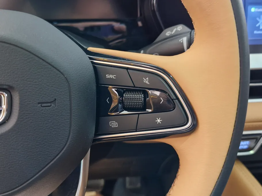 2025 Geely Mongaro Premium GF 