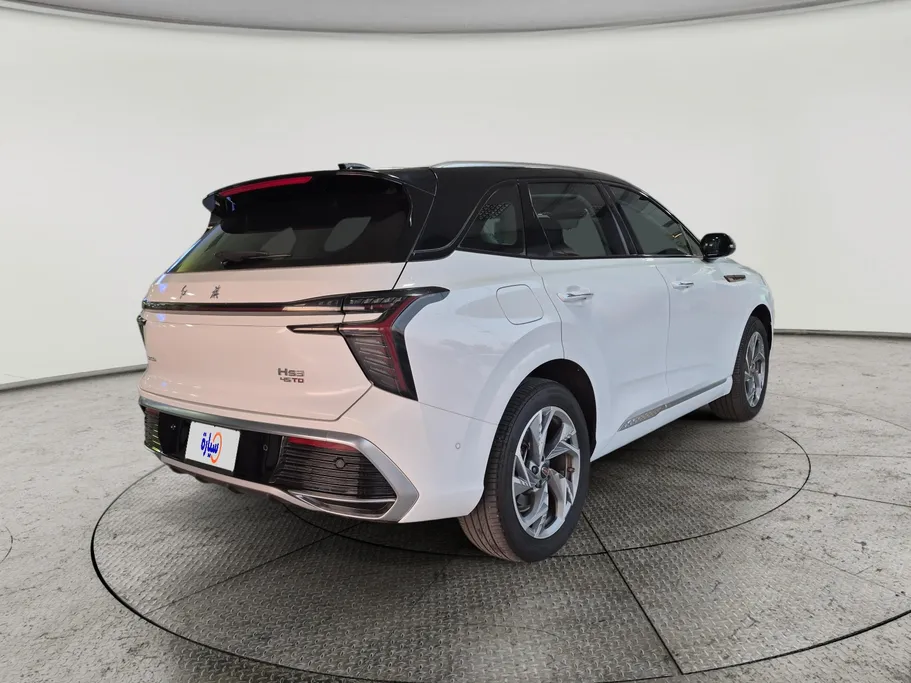 2024 Hongqi HS3 Flagship Two Tone 