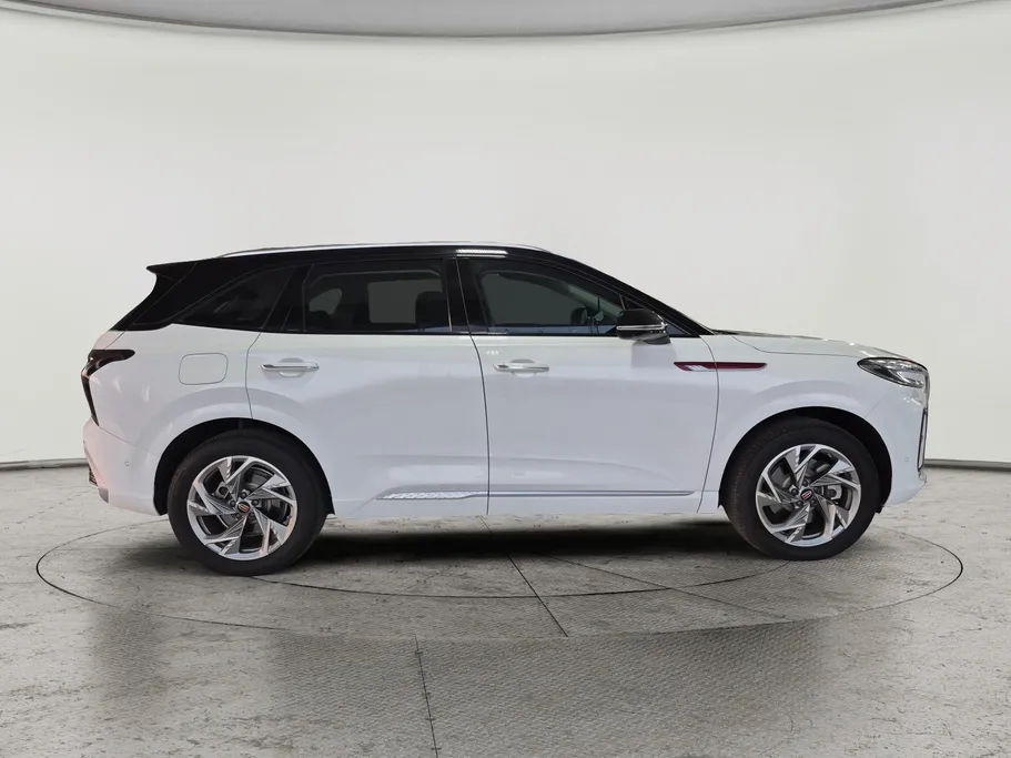 2024 Hongqi HS3 Flagship Two Tone 