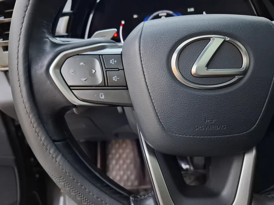 2023 Lexus RX 350 