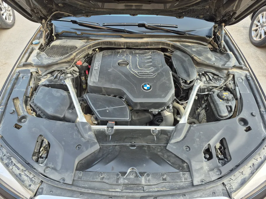 2020 BMW 5 Series 520i 
