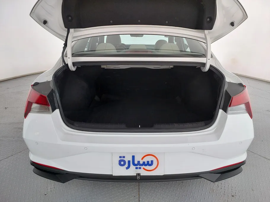 2022 Hyundai Elantra Fleet 