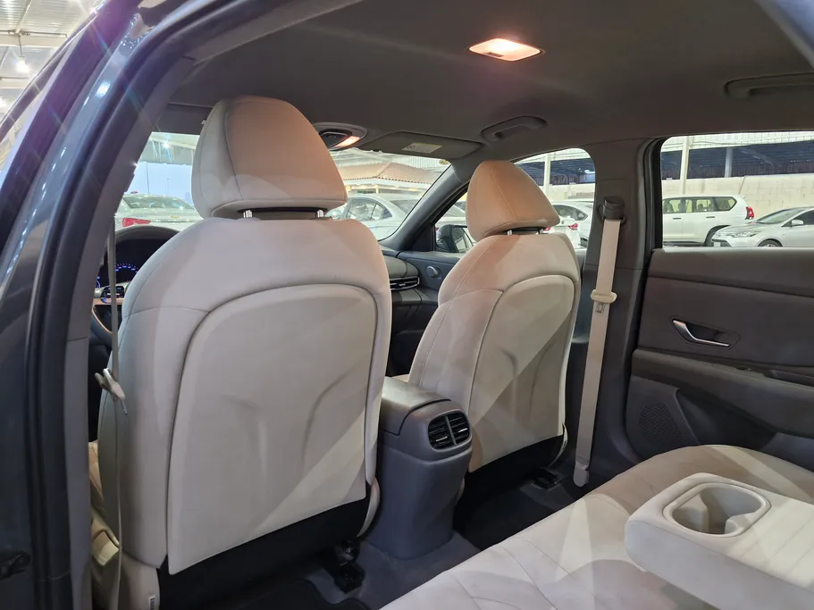 2023 Hyundai Elantra Fleet 