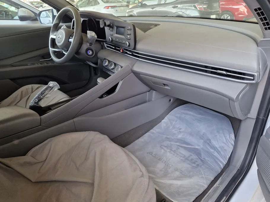 2021 Hyundai Elantra Fleet 