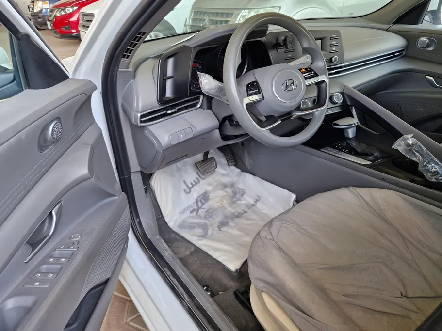 2021 Hyundai Elantra Fleet 