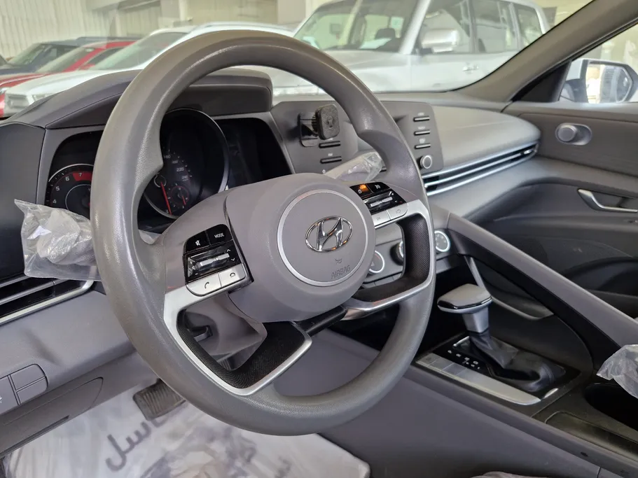 2021 Hyundai Elantra Fleet 