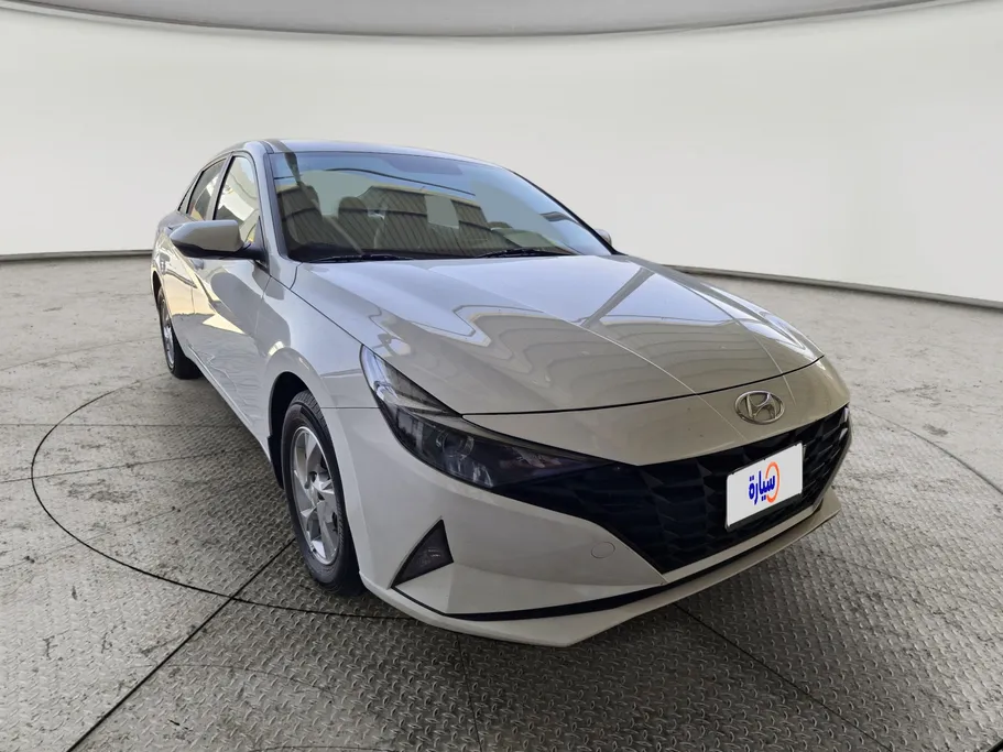 2021 Hyundai Elantra Fleet 