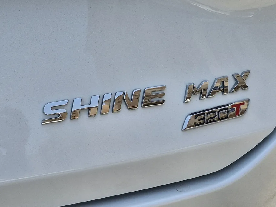 2024 Dongfeng  Shine Max E1 