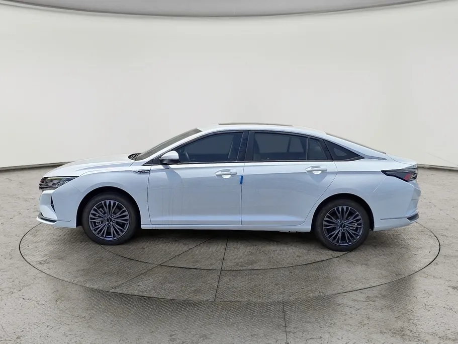 2024 Dongfeng  Shine Max E1 