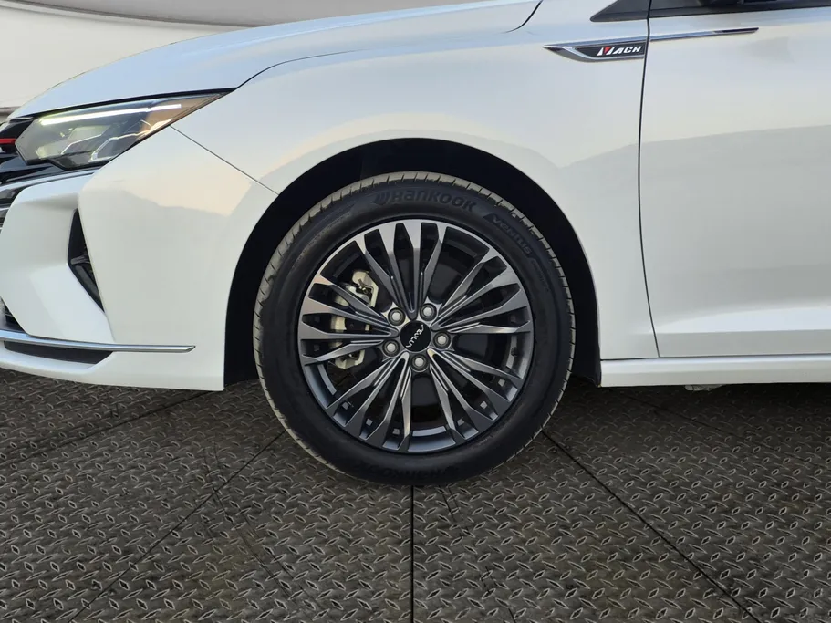 2024 Dongfeng  Shine Max E1 