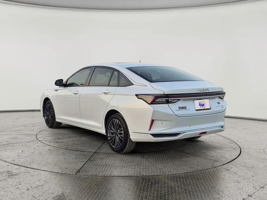 2024 Dongfeng  Shine Max E1 