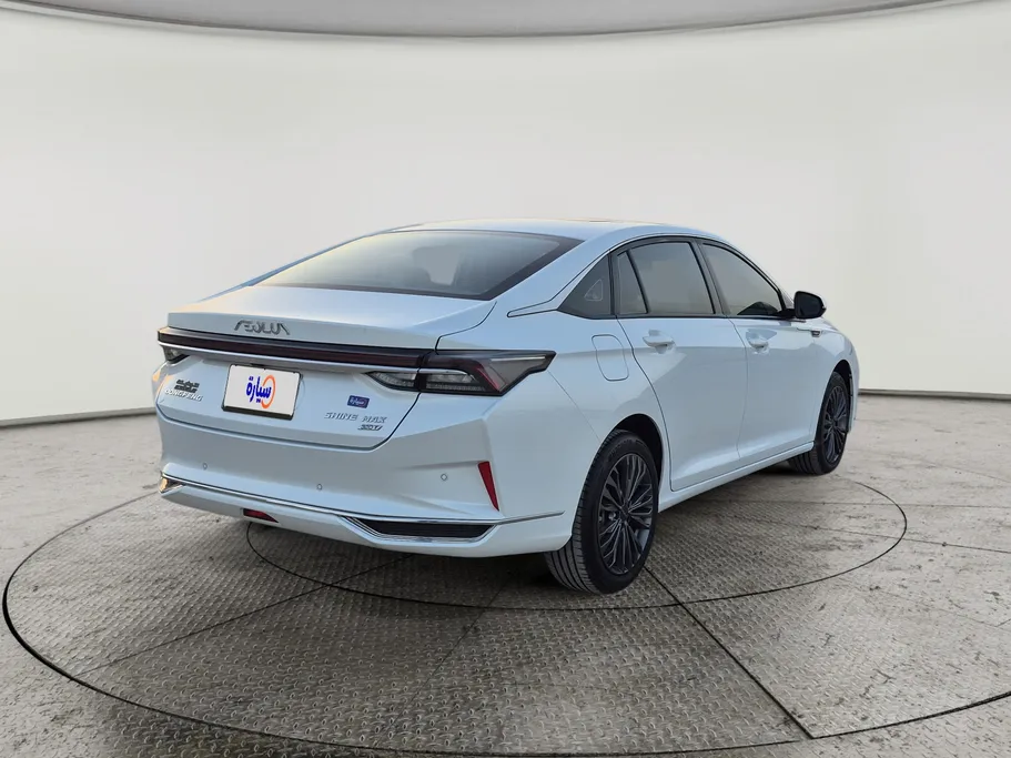 2024 Dongfeng  Shine Max E1 