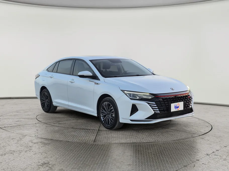 2024 Dongfeng  Shine Max E1 