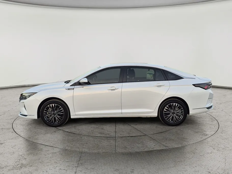 2024 Dongfeng  Shine Max E1 