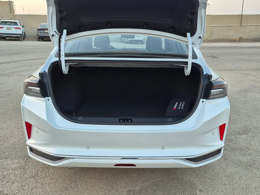 2024 Dongfeng  Shine Max E1 