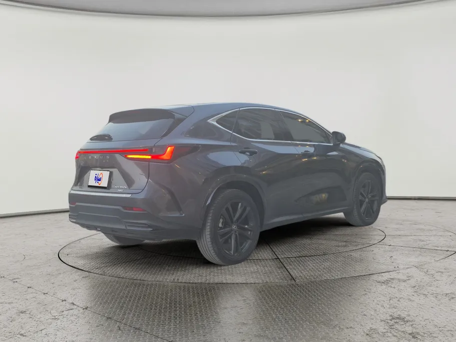 2024 Lexus NX 350h HH 