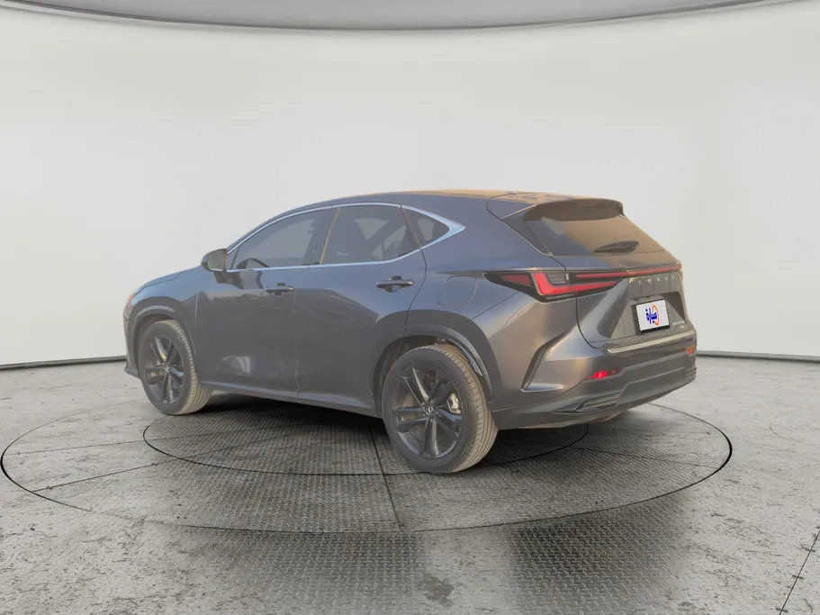 2024 Lexus NX 350h HH 