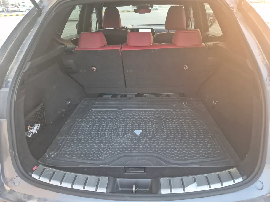 2024 Lexus NX 350h HH 