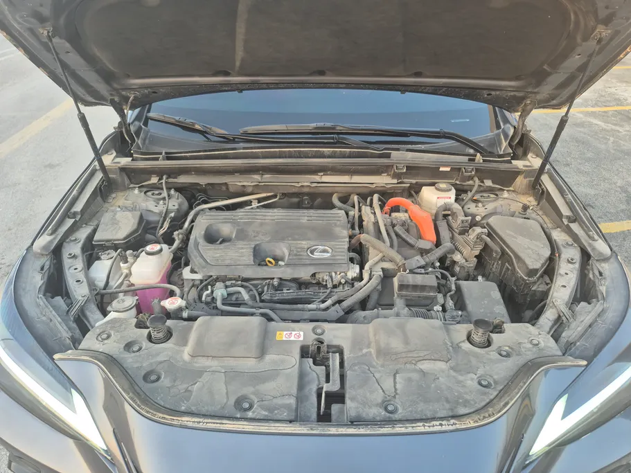 2024 Lexus NX 350h HH 