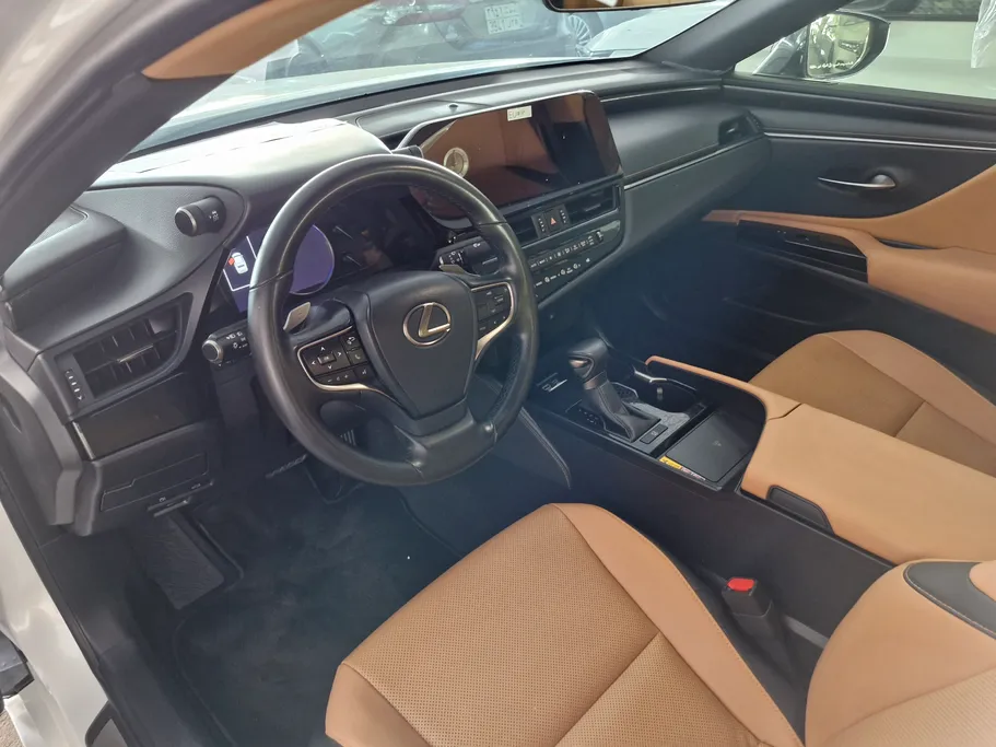 2024 Lexus ES 250 AA Elegant 