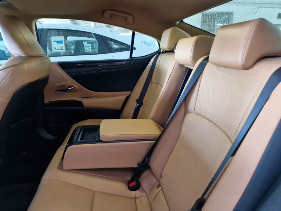 2024 Lexus ES 250 AA Elegant 