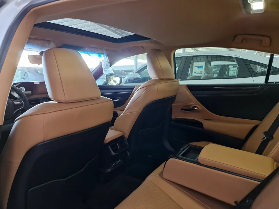 2024 Lexus ES 250 AA Elegant 