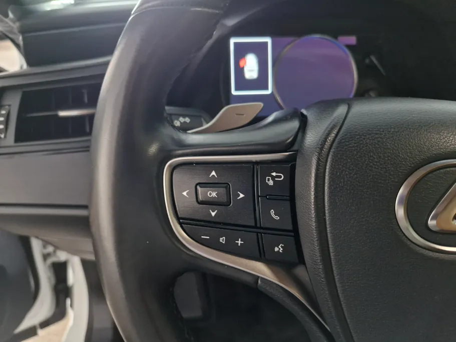 2024 Lexus ES 250 AA Elegant 