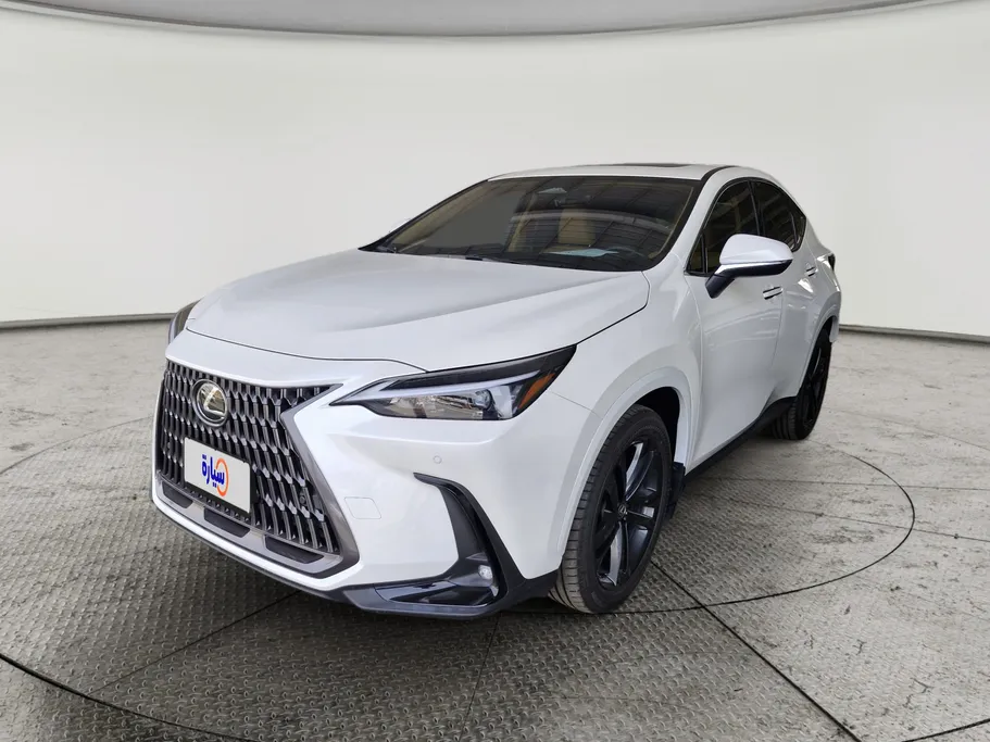 2025 Lexus NX 350h AH 
