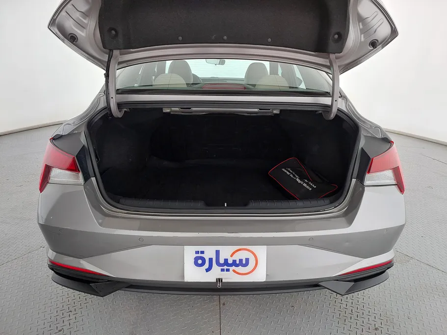 2021 Hyundai Elantra Fleet 