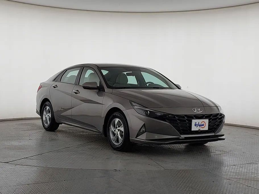 2021 Hyundai Elantra Fleet 