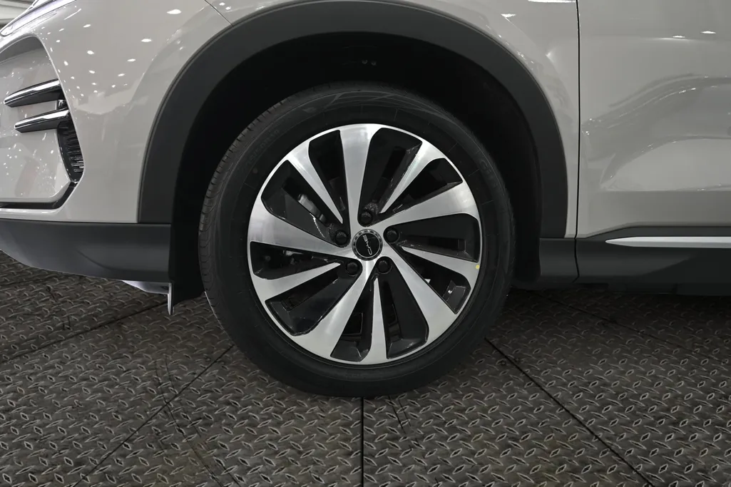 بي واي دي سونج بلس بريميوم 2026 