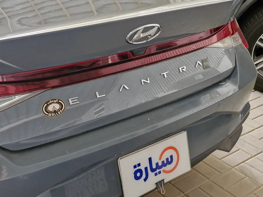 2021 Hyundai Elantra Fleet 