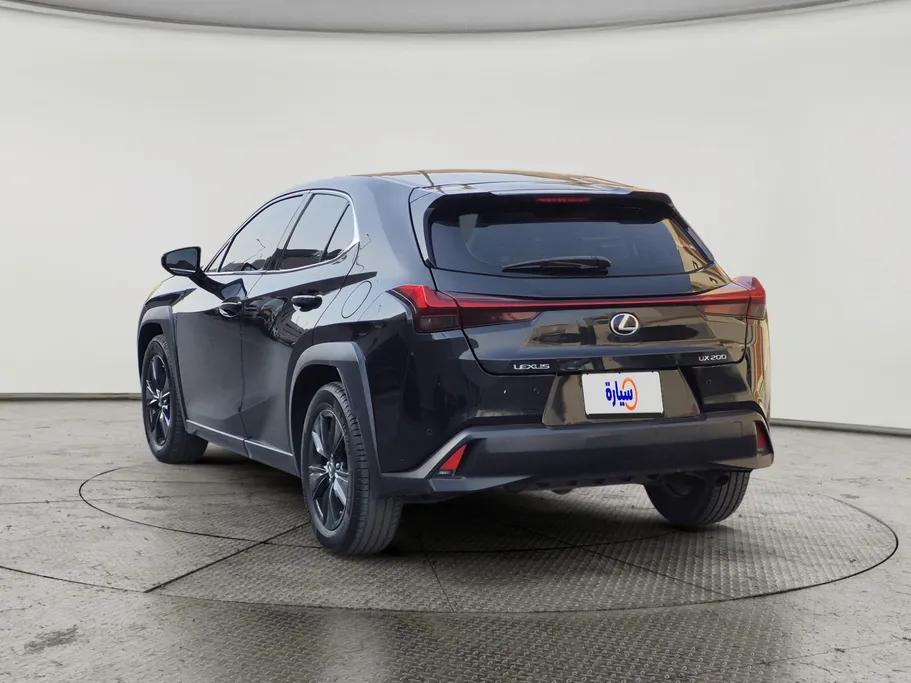 2021 Lexus UX 200 