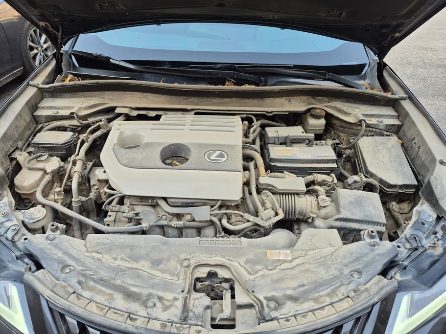 2021 Lexus UX 200 