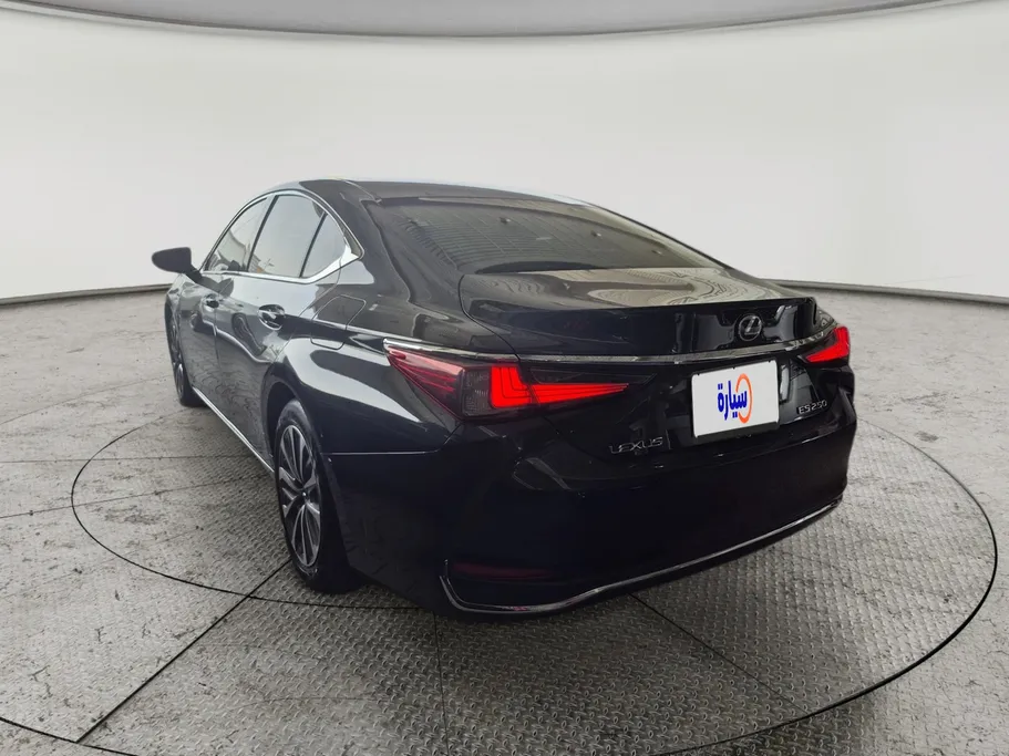 2023 Lexus ES 250 AA Elegant 
