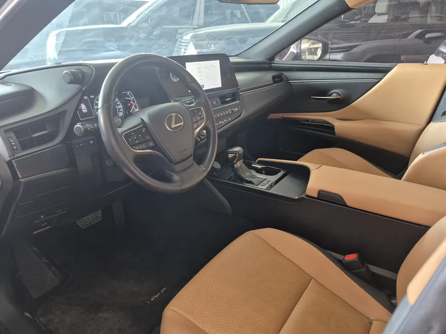 2023 Lexus ES 250 AA Elegant 