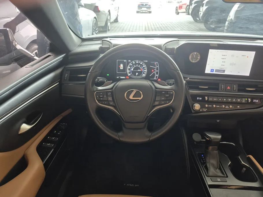 2023 Lexus ES 250 AA Elegant 