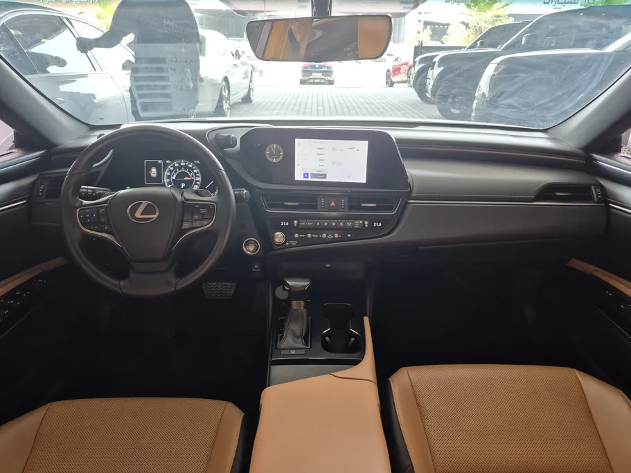 2023 Lexus ES 250 AA Elegant 
