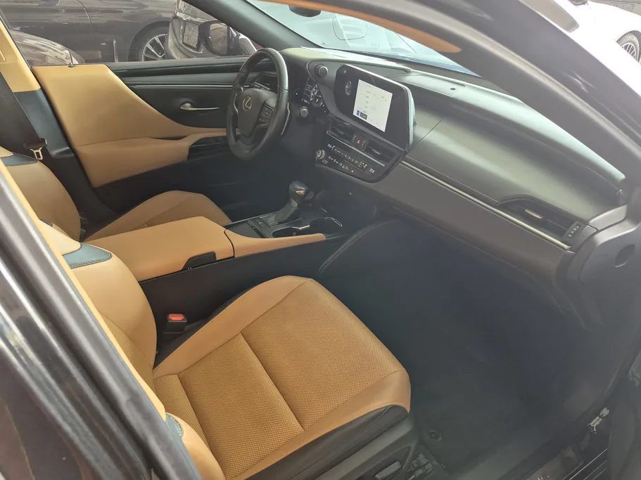 2023 Lexus ES 250 AA Elegant 