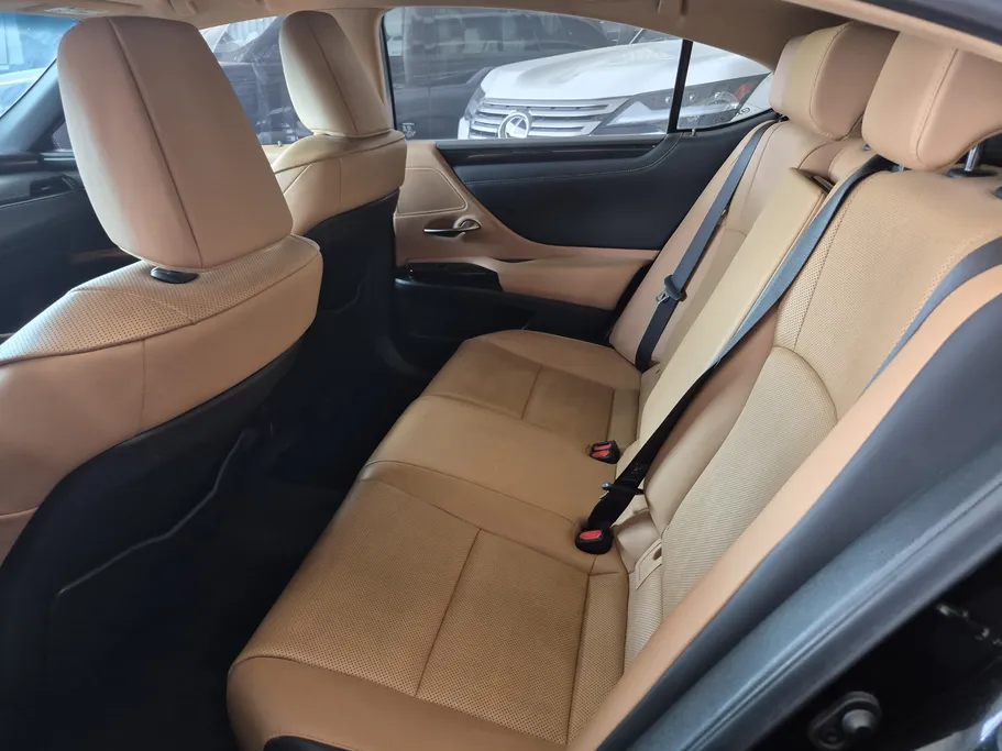 2023 Lexus ES 250 AA Elegant 